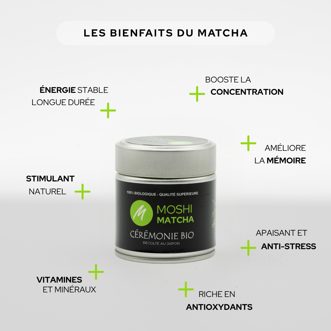 Thé Matcha Cérémonie Bio : le meilleur matcha sans amertume Moshi Matcha